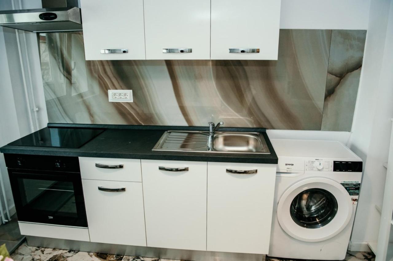 Apartament De Lux Ultramodern In Zona Centrala Temeşvar Dış mekan fotoğraf